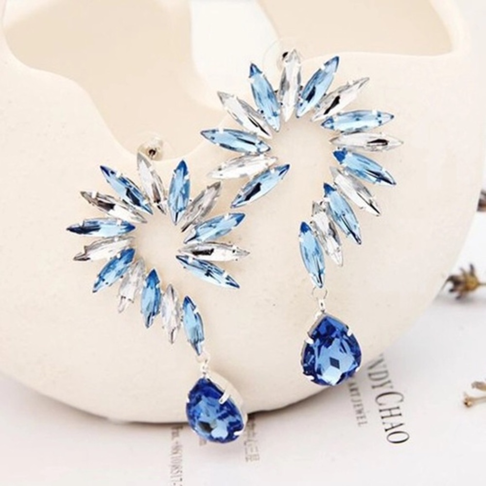 Fashion Drop Earrings